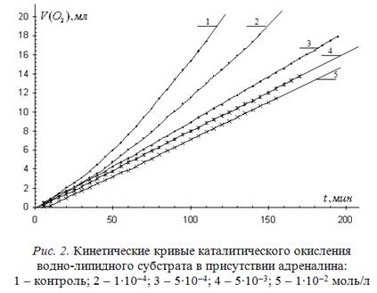 Используя информацию представленную на рисунке 88 перечислите процессы протекающие в толстой кишке