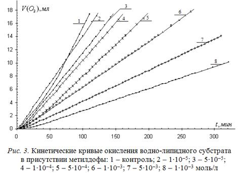 Анализ кинетического рисунка