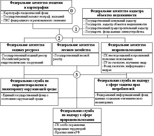 Фашистский новый порядок проявления схема