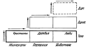 Мировоззренческая функция направлена на формирование целостной картины мира