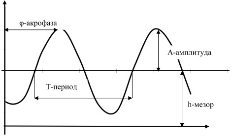 Выполнять с амплитудой. Амплитуда и период переменной звезды. Акрофаза амплитуда. Биоритм амплитуда период. Мезор биоритмы.