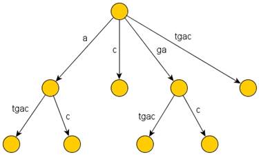 Описание: ExampleSuffixTree.jpg