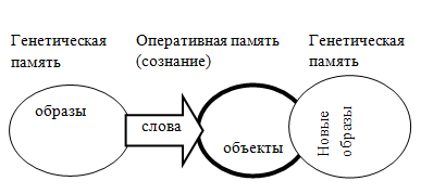 Знаковой информационной моделью не является рисунок