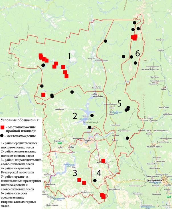 Вишерский заповедник пермский край карта