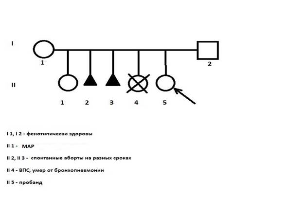 Рисунок1.jpg