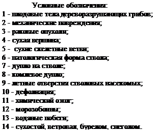 Подпись: Условные обозначения:
1 - плодовые тела дереворазрушающих гри-бов;
2 - механические повреждения;
3 - раковые опухоли;
4 - сухая вершина;
5 - сухие скелетные ветви;
6 - патологическая форма ствола;
7 - дупло на стволе;
8 - комлевое дупло;
9 - летные отверстия стволовых насекомых;
10 - дефолиация;
11 - химический ожог;
12 - морозобоины;
13 - водяные побеги;
14 - сухостой, ветровал, бурелом, снеголом.