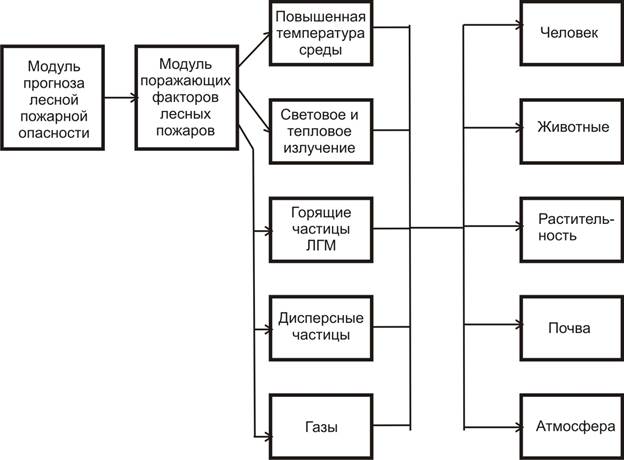 Обобщенная структура системы