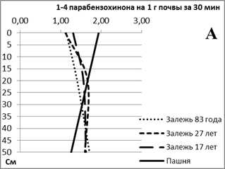 Схема типичного профиля чернозема в индексах