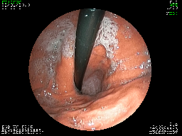 sDSC00012.TIF