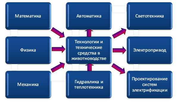 План связь науки и образования