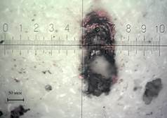 1400.jpg