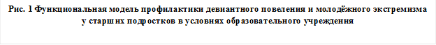 Рис. 1 Функциональная модель профилактики девиантного повеления и молодёжного экстремизма у старших подростков в условиях образовательного учреждения