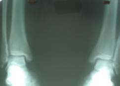 DSC00782