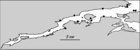 Белое море чупа карта