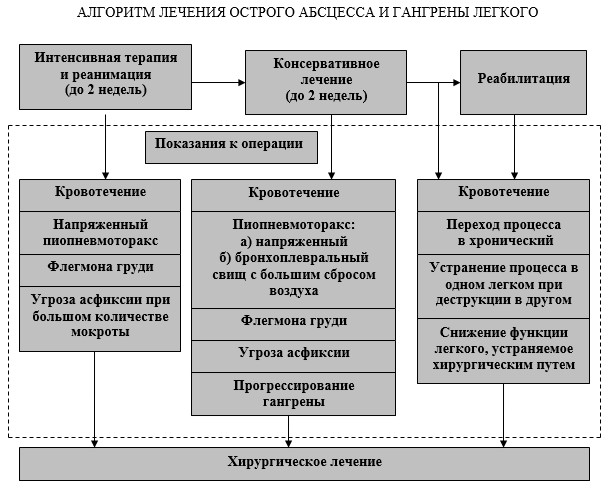 Абсцесс легкого патогенез схема