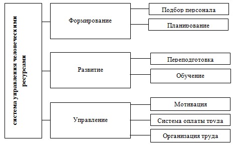 Менеджмент человеческих ресурсов ( Теоретические основы управления человеческими