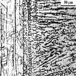 5_Г х200 copy