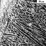 8_Г х200 copy