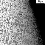 3_А х200 copy