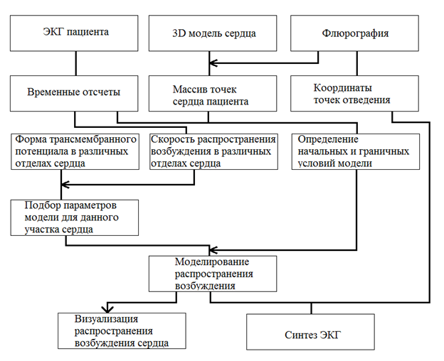 Схема электрической активности сердца является материальной моделью информационной моделью