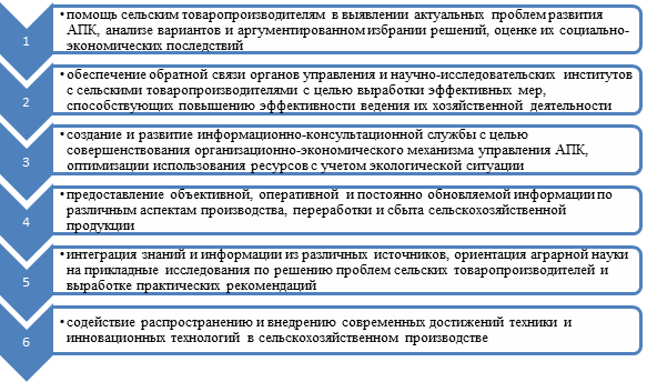 В чем заключаются особенности информационных проектов