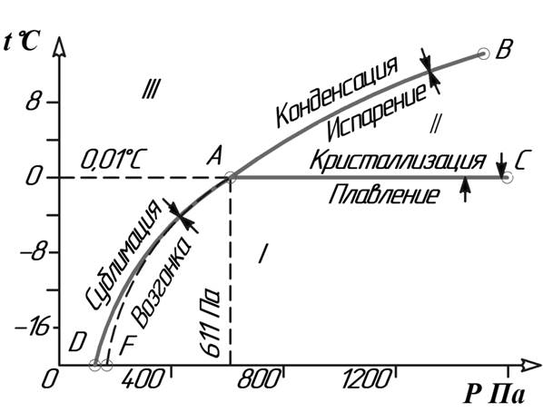 Какой природный процесс отображен на схеме снеговая линия фирновый бассейн