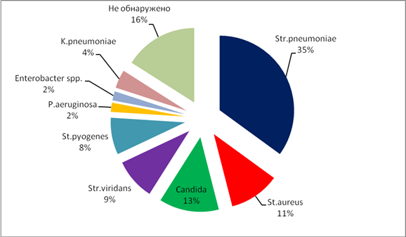 Диаграмма по пневмонии