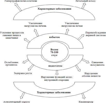 Накопление резервов питательных веществ рисунок