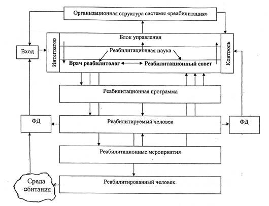 Виды реабилитации схема