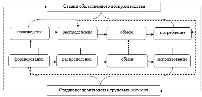 Структура воспроизводства