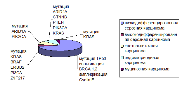 Наиболее часто встречающиеся типы проектов