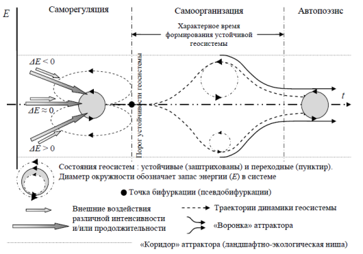 Схема операции удаления эмбола из бифуркации аорты