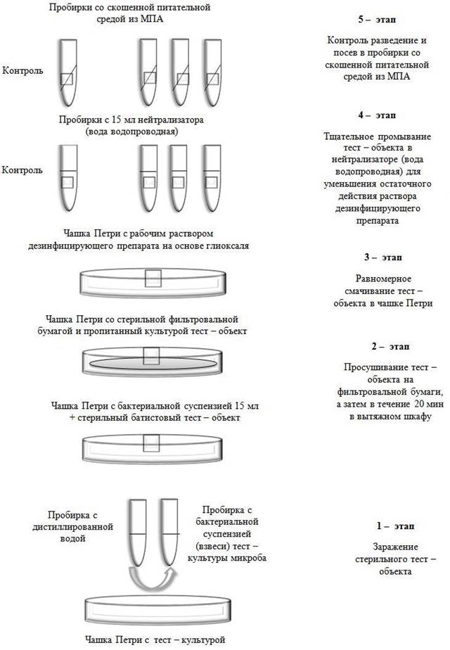 Тест каприлли схема