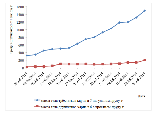 Сколько лет карпу. График роста карпа. Коэффициент роста карпа. Прирост карпа. Темпы роста карпа в пруду.