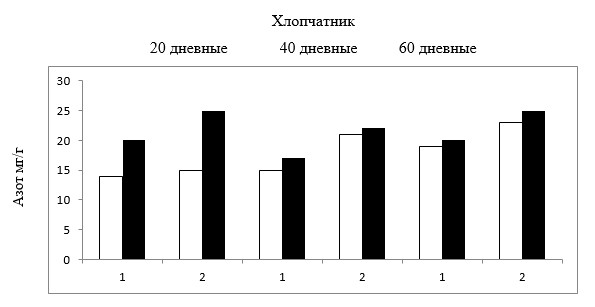 Хлопчатник
