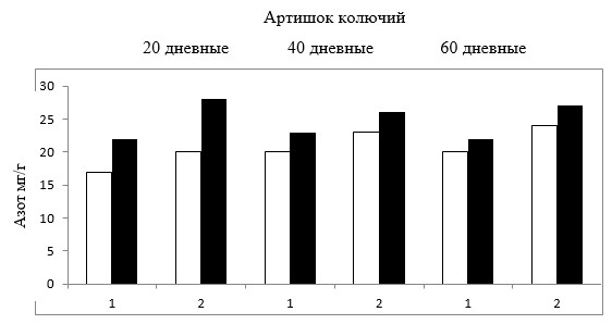 Артишок колючий