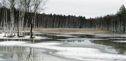 весна.jpg