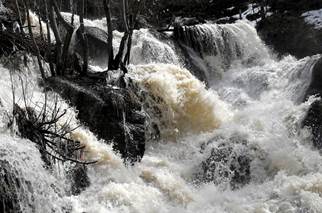 водаа.jpg