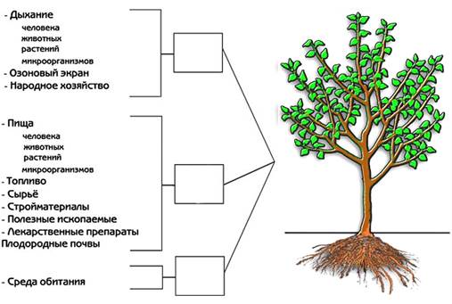 Условия жизни растений дополни схему