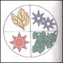3SWScan000300094