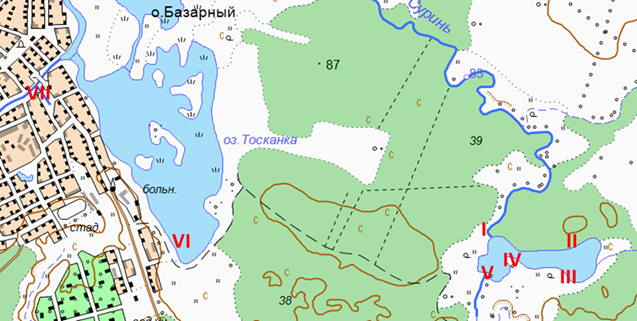 Карта ворсма нижегородская область