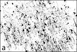 ImageJ=1.41o