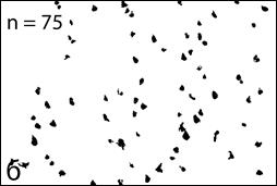 ImageJ=1.41o