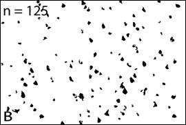 ImageJ=1.41o