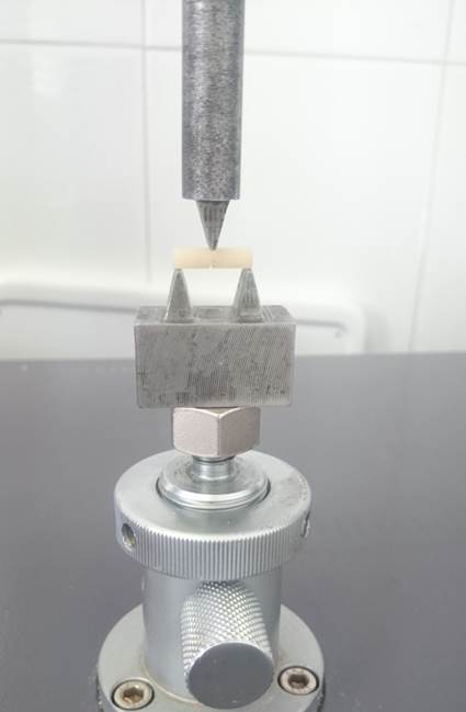 DSC_0441