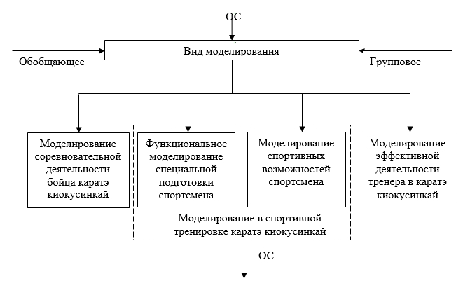 Моделирование в спорте презентация