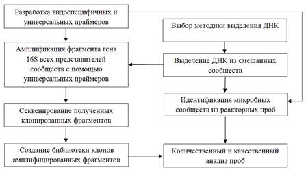 Оценка каких свойств микроорганизмов показана на рисунке