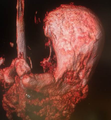 IMG_2592-1.jpg