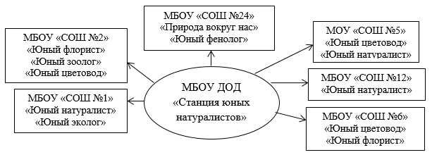 Геоиконика проект нового научного направления