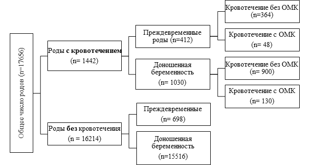 Схема ретровира в родах